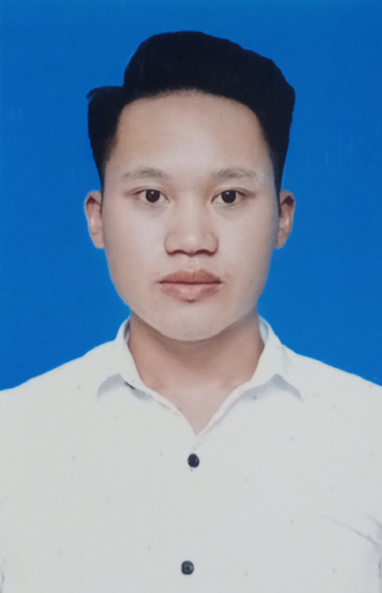 Mai Đại Đình