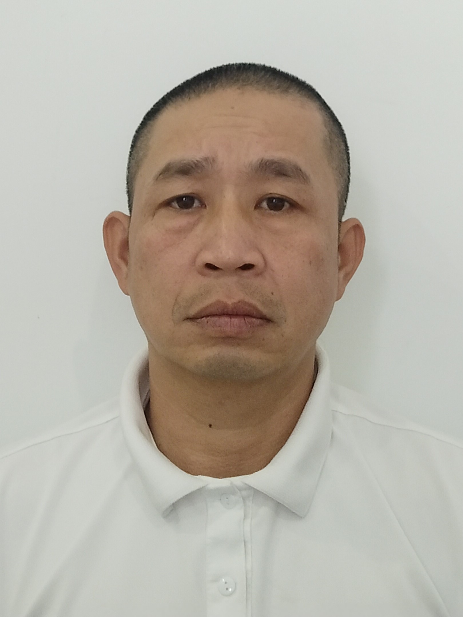Trần Nguyễn Hữu Chi